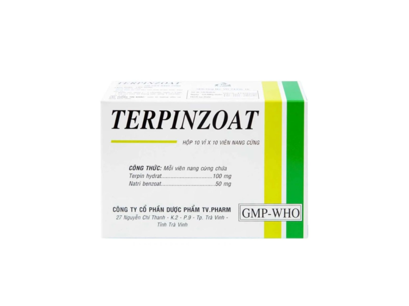 Thuốc Terpinzoat TV.PHARM làm loãng đờm và điều trị các triệu chứng ho (100 viên)